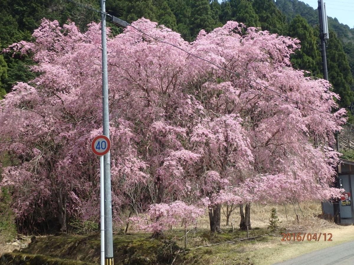 京の宿 西大路 Familie Kyoto Eksteriør billede