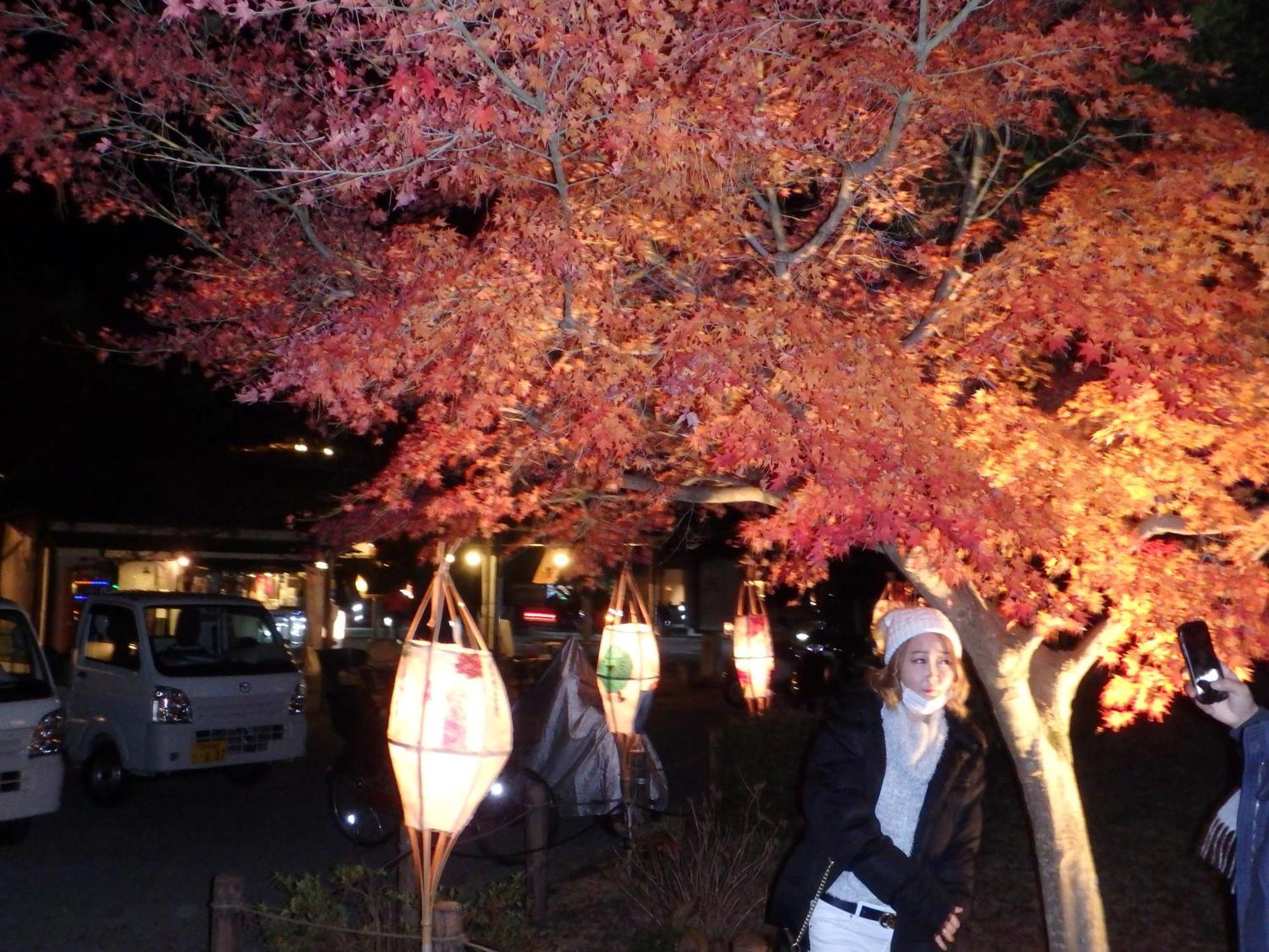 京の宿 西大路 Familie Kyoto Eksteriør billede